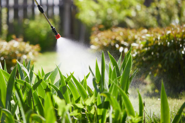 24/7 Emergency Mosquito Control experts in Holt, AL